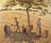 Camille Pissarro Pick Apple oil painting artist